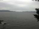 ./images/koeye/fitz-hugh/20200831/fitz-hugh20200831_114001.jpg