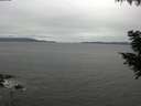 ./images/koeye/fitz-hugh/20200831/fitz-hugh20200831_114501.jpg