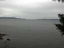 ./images/koeye/fitz-hugh/20200831/fitz-hugh20200831_115001.jpg