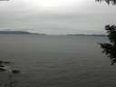 ./images/koeye/fitz-hugh/20200831/fitz-hugh20200831_115501.jpg