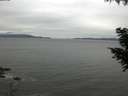 ./images/koeye/fitz-hugh/20200831/fitz-hugh20200831_120001.jpg
