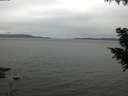 ./images/koeye/fitz-hugh/20200831/fitz-hugh20200831_120501.jpg