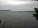 ./images/koeye/fitz-hugh/20200831/fitz-hugh20200831_121501.jpg
