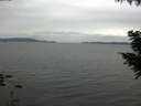 ./images/koeye/fitz-hugh/20200831/fitz-hugh20200831_122501.jpg
