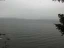./images/koeye/fitz-hugh/20200831/fitz-hugh20200831_123502.jpg