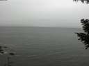 ./images/koeye/fitz-hugh/20200831/fitz-hugh20200831_124002.jpg