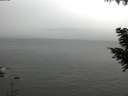 ./images/koeye/fitz-hugh/20200831/fitz-hugh20200831_124502.jpg