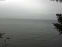 ./images/koeye/fitz-hugh/20200831/fitz-hugh20200831_125002.jpg