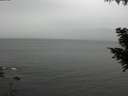 ./images/koeye/fitz-hugh/20200831/fitz-hugh20200831_125502.jpg