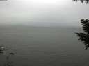 ./images/koeye/fitz-hugh/20200831/fitz-hugh20200831_130502.jpg