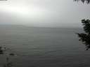 ./images/koeye/fitz-hugh/20200831/fitz-hugh20200831_131002.jpg