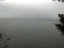 ./images/koeye/fitz-hugh/20200831/fitz-hugh20200831_132002.jpg