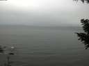./images/koeye/fitz-hugh/20200831/fitz-hugh20200831_132502.jpg
