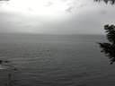 ./images/koeye/fitz-hugh/20200831/fitz-hugh20200831_134001.jpg