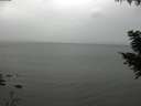 ./images/koeye/fitz-hugh/20200831/fitz-hugh20200831_135001.jpg