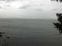 ./images/koeye/fitz-hugh/20200831/fitz-hugh20200831_135501.jpg