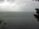 ./images/koeye/fitz-hugh/20200831/fitz-hugh20200831_140001.jpg