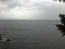 ./images/koeye/fitz-hugh/20200831/fitz-hugh20200831_141501.jpg
