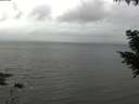 ./images/koeye/fitz-hugh/20200831/fitz-hugh20200831_143501.jpg
