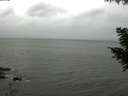 ./images/koeye/fitz-hugh/20200831/fitz-hugh20200831_144001.jpg