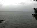 ./images/koeye/fitz-hugh/20200831/fitz-hugh20200831_144501.jpg