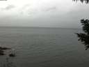./images/koeye/fitz-hugh/20200831/fitz-hugh20200831_145001.jpg