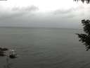 ./images/koeye/fitz-hugh/20200831/fitz-hugh20200831_145501.jpg