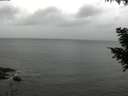 ./images/koeye/fitz-hugh/20200831/fitz-hugh20200831_150501.jpg