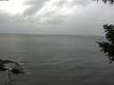 ./images/koeye/fitz-hugh/20200831/fitz-hugh20200831_151501.jpg