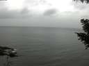 ./images/koeye/fitz-hugh/20200831/fitz-hugh20200831_152001.jpg