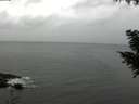 ./images/koeye/fitz-hugh/20200831/fitz-hugh20200831_153502.jpg