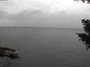 ./images/koeye/fitz-hugh/20200831/fitz-hugh20200831_154002.jpg