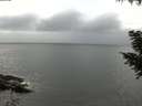 ./images/koeye/fitz-hugh/20200831/fitz-hugh20200831_155001.jpg