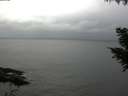 ./images/koeye/fitz-hugh/20200831/fitz-hugh20200831_160002.jpg