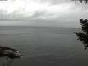 ./images/koeye/fitz-hugh/20200831/fitz-hugh20200831_160502.jpg