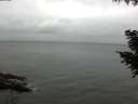 ./images/koeye/fitz-hugh/20200831/fitz-hugh20200831_161002.jpg