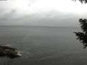 ./images/koeye/fitz-hugh/20200831/fitz-hugh20200831_161502.jpg