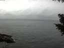 ./images/koeye/fitz-hugh/20200831/fitz-hugh20200831_162002.jpg