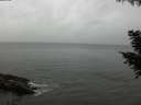 ./images/koeye/fitz-hugh/20200831/fitz-hugh20200831_164002.jpg