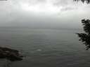 ./images/koeye/fitz-hugh/20200831/fitz-hugh20200831_164501.jpg