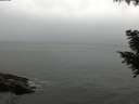 ./images/koeye/fitz-hugh/20200831/fitz-hugh20200831_165001.jpg