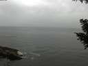 ./images/koeye/fitz-hugh/20200831/fitz-hugh20200831_165501.jpg