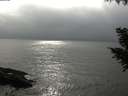 ./images/koeye/fitz-hugh/20200831/fitz-hugh20200831_170501.jpg