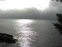 ./images/koeye/fitz-hugh/20200831/fitz-hugh20200831_171001.jpg