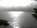 ./images/koeye/fitz-hugh/20200831/fitz-hugh20200831_171501.jpg