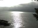 ./images/koeye/fitz-hugh/20200831/fitz-hugh20200831_172001.jpg