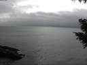 ./images/koeye/fitz-hugh/20200831/fitz-hugh20200831_172501.jpg