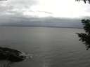 ./images/koeye/fitz-hugh/20200831/fitz-hugh20200831_173501.jpg
