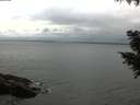./images/koeye/fitz-hugh/20200831/fitz-hugh20200831_174501.jpg