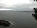 ./images/koeye/fitz-hugh/20200831/fitz-hugh20200831_175501.jpg